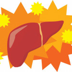liver and star bursts illustration