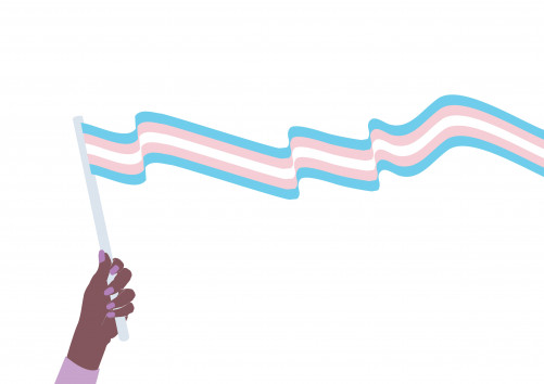 illlustration trans flag