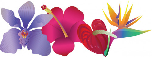 illustration tropical flowers