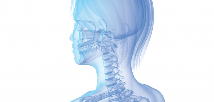 illustration female skeleton