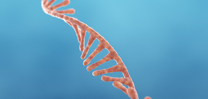 Single strand ribonucleic acid, RNA