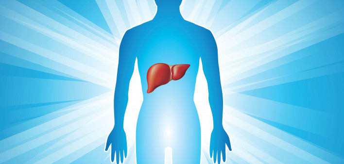 illustration human body glowing with liver