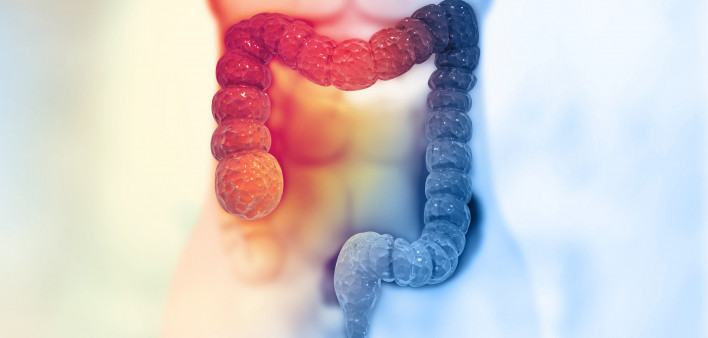Human colon on scientific background