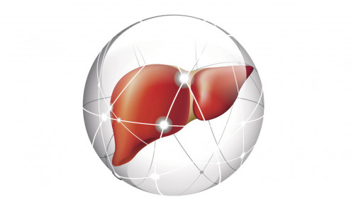 liver, liver cancer
