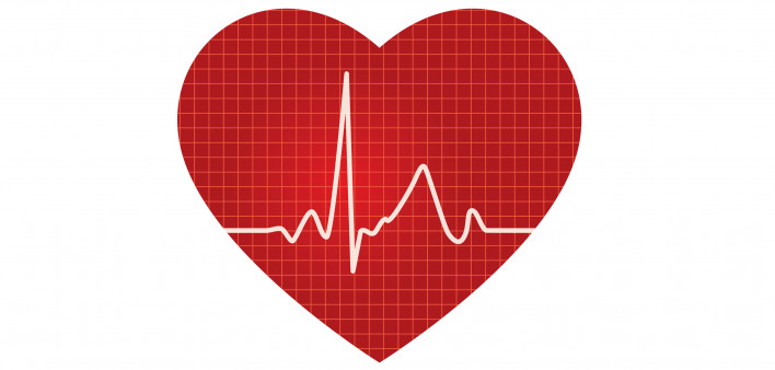 heart illustration with heart rythum