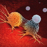 Cancer Immunotherapy as a human immune system therapy concept as a biomedical or biomedicine oncology treatment using the natural T cell fighting properties of the body as a 3D render.