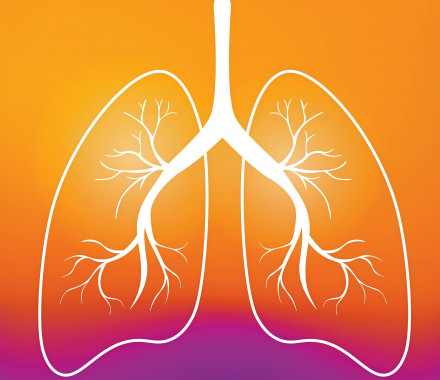 illustration outline of lungs