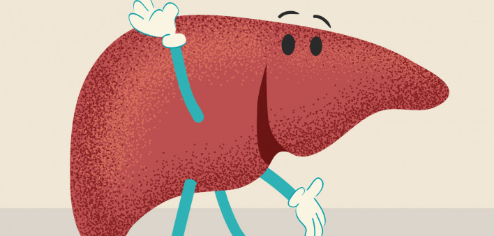 happy liver illustration