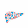 illustration of pills in shape of liver