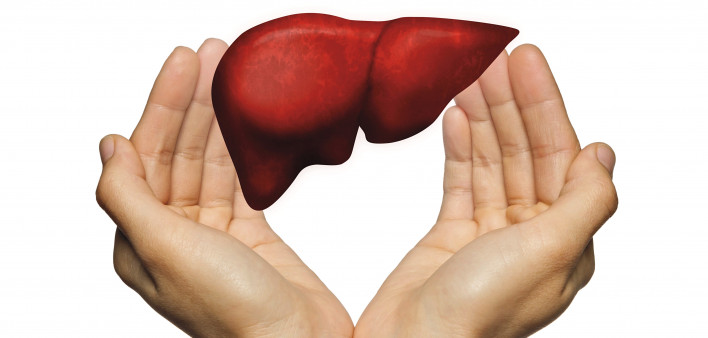 hands and liver illustration