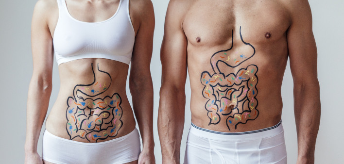 microbiome woman man intestines drawn on stomachs