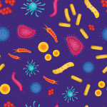 colorful illustration of microbes