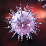 Epstein-Barr virus illustration