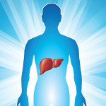 illustration human body glowing with liver