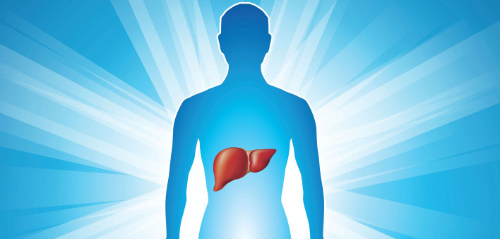 illustration human body glowing with liver