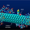 Daniel Heller, PhD, is developing an implantable carbon nanotube that can detect ovarian cancer
