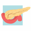 illustration pancreas