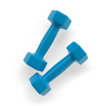 blue weights dumb bells