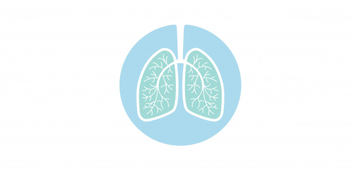 illustration of lungs