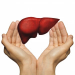 hands and liver illustration