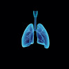 illustration lungs esophagus
