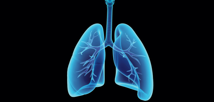 illustration lungs esophagus
