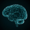 Istock