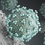 hiv virus