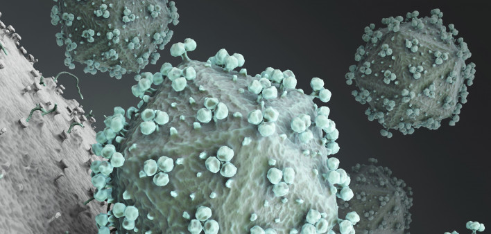 hiv virus