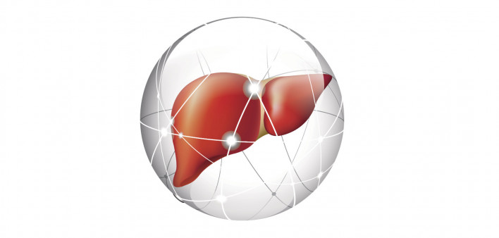liver, liver cancer
