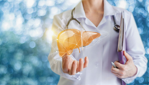 Doctor and liver illustration