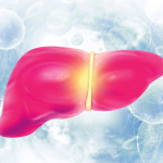 illustration of liver and virus