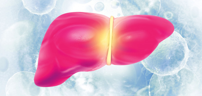illustration of liver and virus