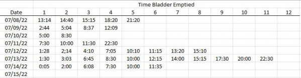 empty bladder chart