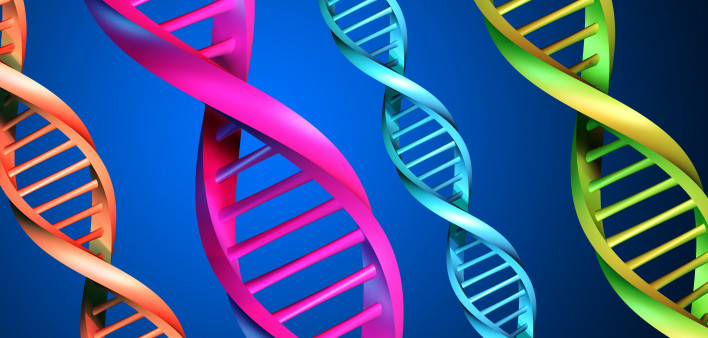 DNA-multicolor