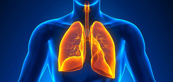 illustration lungs male figure