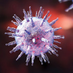 Epstein-Barr virus illustration