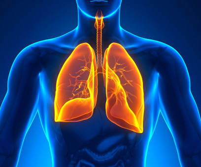 illustration lungs male figure