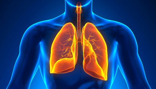 illustration lungs male figure