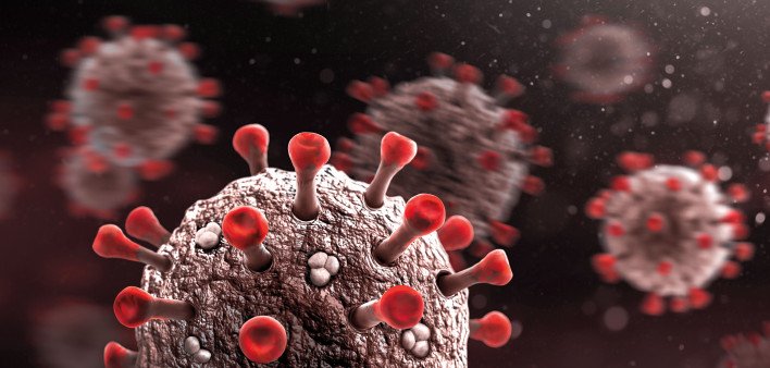 coronavirus