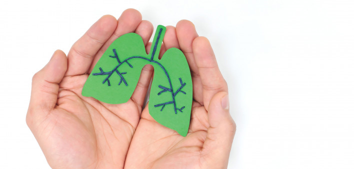 hands holding model of lungs illustration