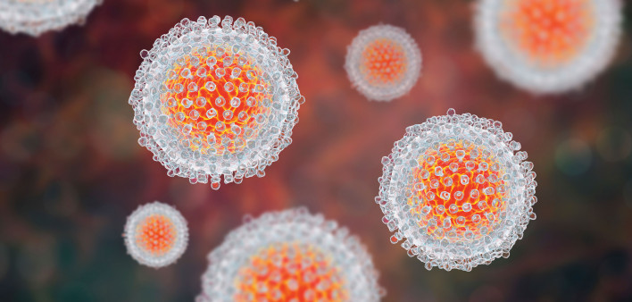 Hepatitis C virus model, 3D illustration.