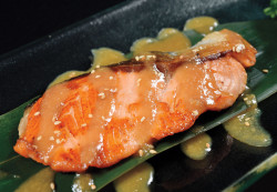 Miso Lime Sauce