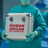 man carrying human organ in box