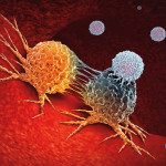 Cancer Immunotherapy as a human immune system therapy concept as a biomedical or biomedicine oncology treatment using the natural T cell fighting properties of the body as a 3D render.