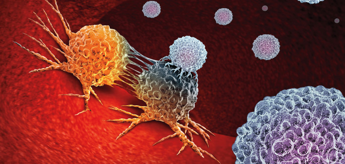 Cancer Immunotherapy as a human immune system therapy concept as a biomedical or biomedicine oncology treatment using the natural T cell fighting properties of the body as a 3D render.