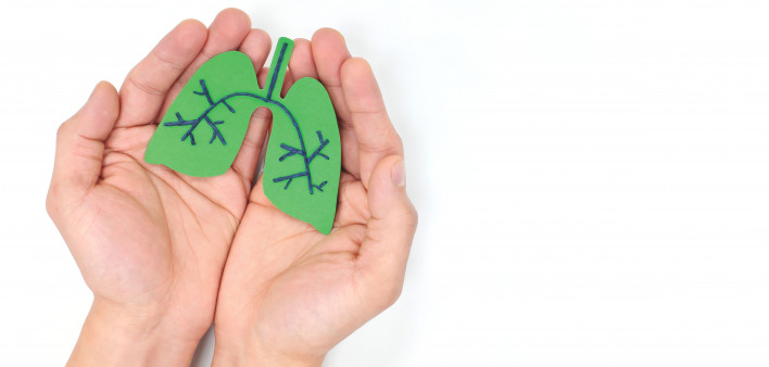 hands holding model of lungs illustration