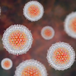 Hepatitis C virus, HCV