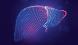 Human liver medical structure. Outline vector illustration of body part organ anatomy in 3d line art style on neon abstract background