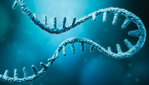 Messenger RNA or mRNA strand 3D rendering i